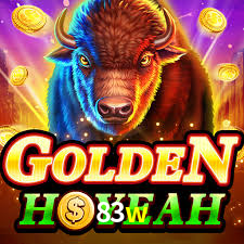 Tournaments 83w